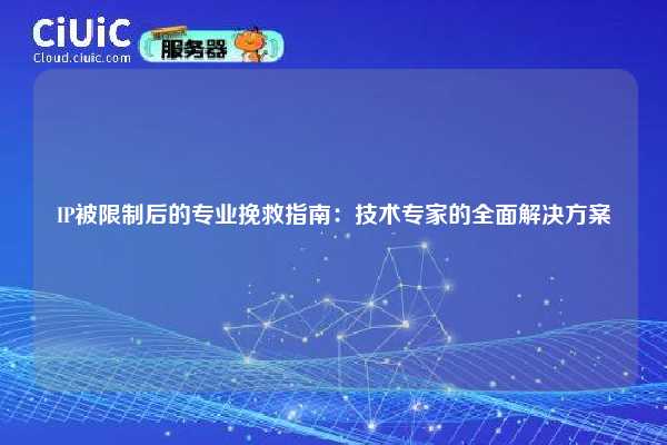 IP被限制后的专业挽救指南：技术专家的全面解决方案