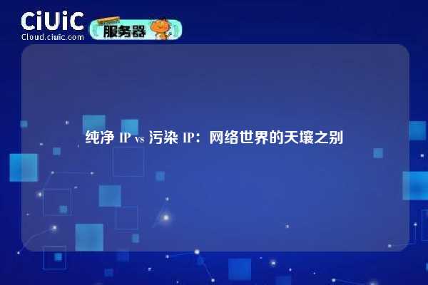 纯净 IP vs 污染 IP：网络世界的天壤之别