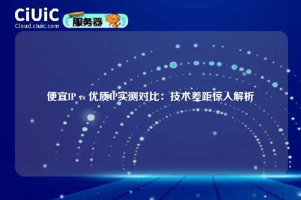 便宜IP vs 优质IP实测对比：技术差距惊人解析