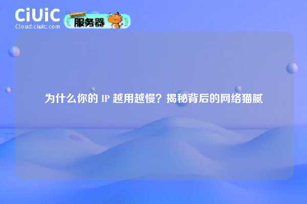 为什么你的 IP 越用越慢？揭秘背后的网络猫腻