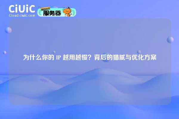 为什么你的 IP 越用越慢？背后的猫腻与优化方案