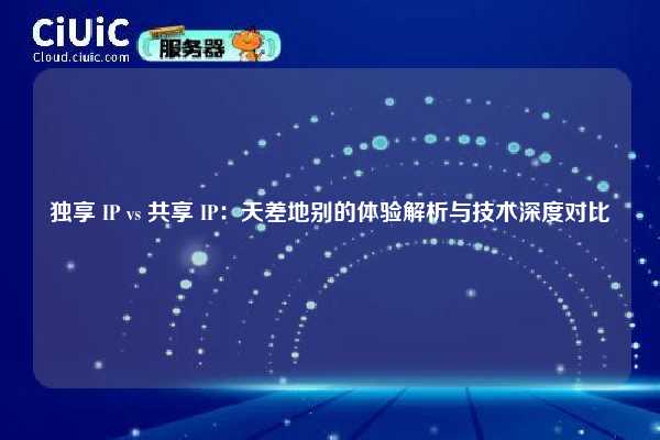 独享 IP vs 共享 IP：天差地别的体验解析与技术深度对比