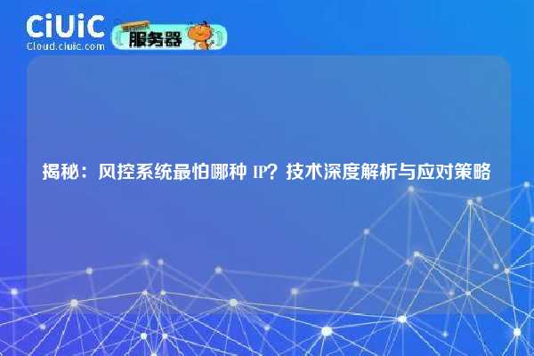 揭秘：风控系统最怕哪种 IP？技术深度解析与应对策略