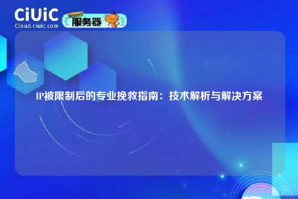 IP被限制后的专业挽救指南：技术解析与解决方案
