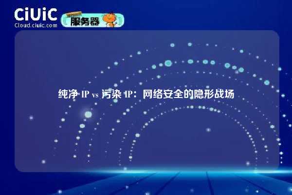 纯净 IP vs 污染 IP：网络安全的隐形战场