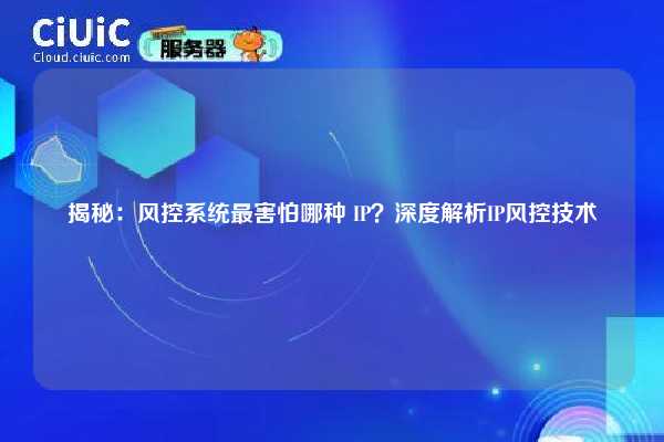 揭秘：风控系统最害怕哪种 IP？深度解析IP风控技术