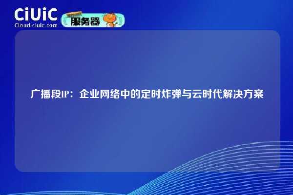 广播段IP：企业网络中的定时炸弹与云时代解决方案