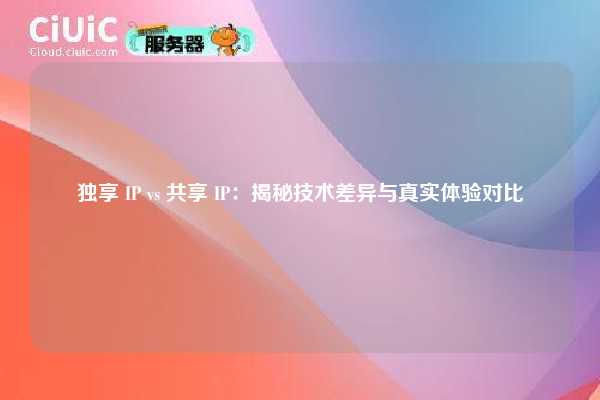 独享 IP vs 共享 IP：揭秘技术差异与真实体验对比
