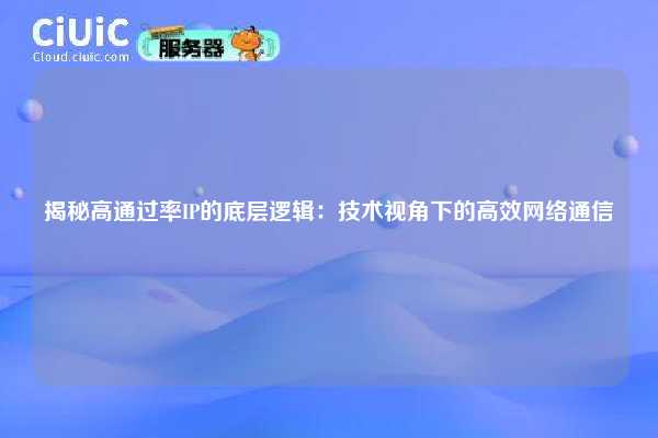 揭秘高通过率IP的底层逻辑：技术视角下的高效网络通信