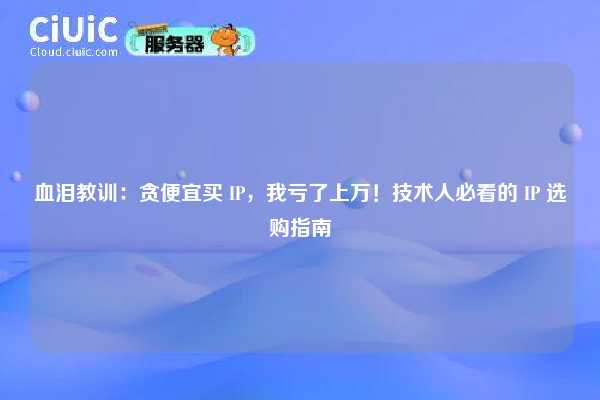 血泪教训：贪便宜买 IP，我亏了上万！技术人必看的 IP 选购指南