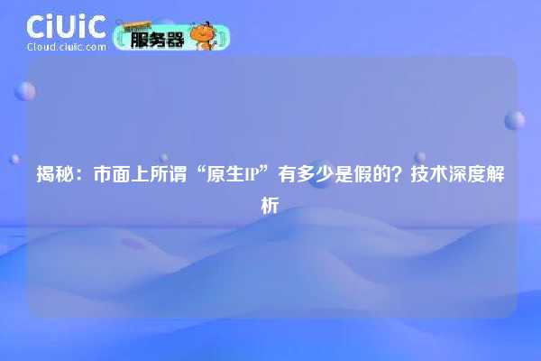 揭秘：市面上所谓“原生IP”有多少是假的？技术深度解析