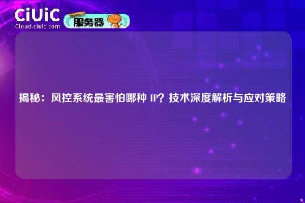 揭秘：风控系统最害怕哪种 IP？技术深度解析与应对策略