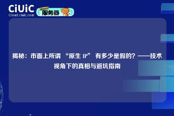 揭秘：市面上所谓 “原生 IP” 有多少是假的？——技术视角下的真相与避坑指南