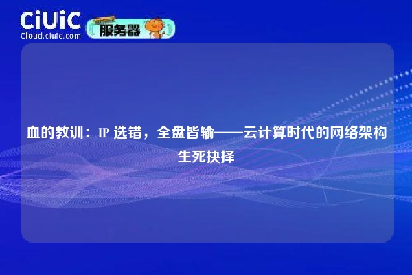 血的教训：IP 选错，全盘皆输——云计算时代的网络架构生死抉择
