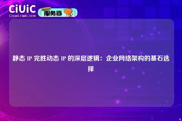 静态 IP 完胜动态 IP 的深层逻辑：企业网络架构的基石选择