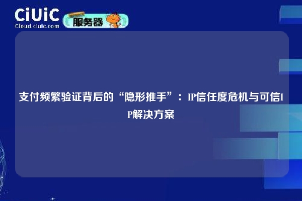 支付频繁验证背后的“隐形推手”：IP信任度危机与可信IP解决方案