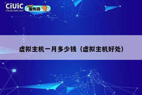 虚拟主机一月多少钱（虚拟主机好处）