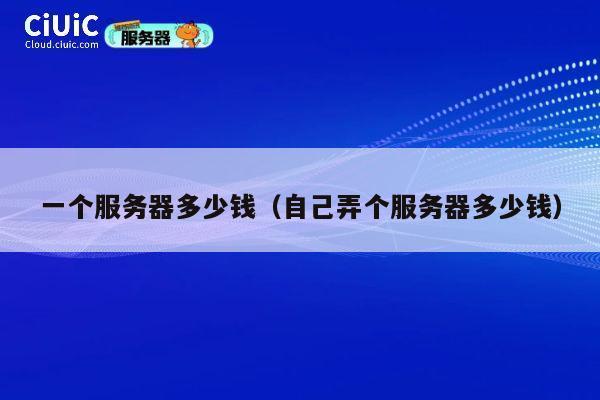 一个服务器多少钱（自己弄个服务器多少钱）
