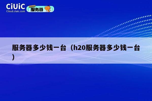 服务器多少钱一台（h20服务器多少钱一台）