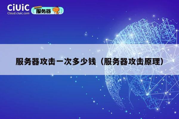 服务器攻击一次多少钱（服务器攻击原理）