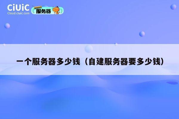 一个服务器多少钱（自建服务器要多少钱）
