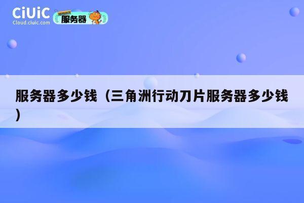 服务器多少钱（三角洲行动刀片服务器多少钱）